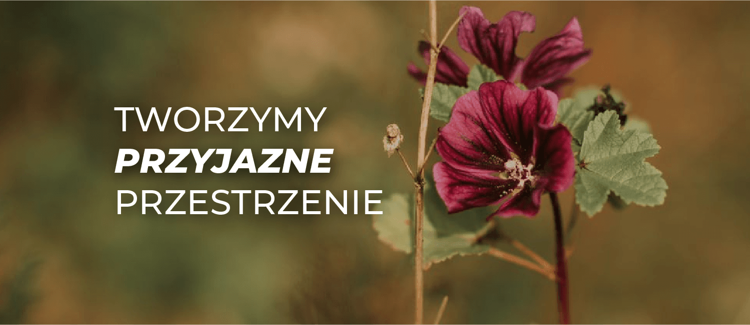 Tworzymy przestrzenie przyjazne ludziom i środowisku - najnowsza kampania ROBYG właśnie ruszyła!